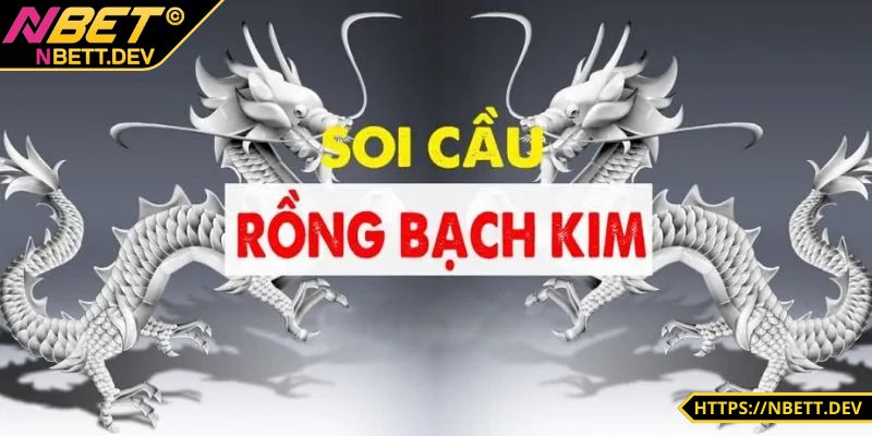 Soi Cầu Rồng Bạch Kim - Mẹo Cá Cược Hay Cho Tân Thủ 4 Soi cầu rồng bạch kim và ý nghĩa chi tiết